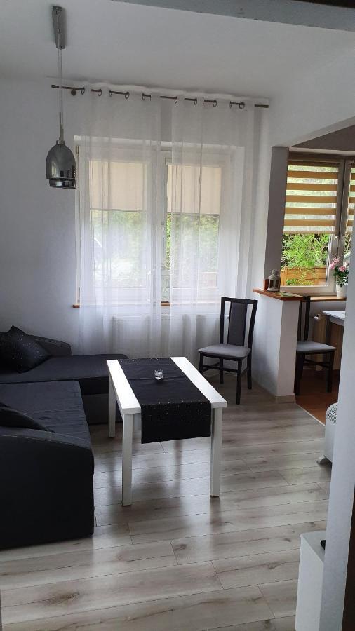 Willa Nad Potokiem Bad Kudowa Exterior foto
